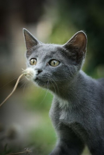 ����� ���� 78