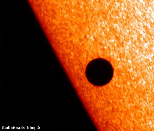 ������ �� ���� ����� ���� 41