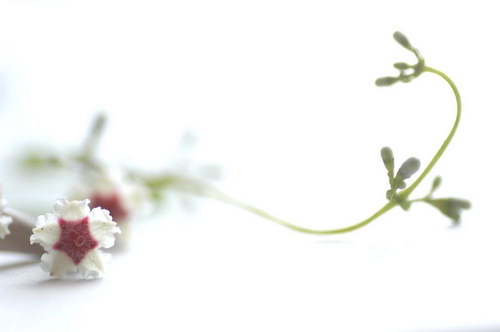 ���� �� ������� ���� :: �������� ���� 14