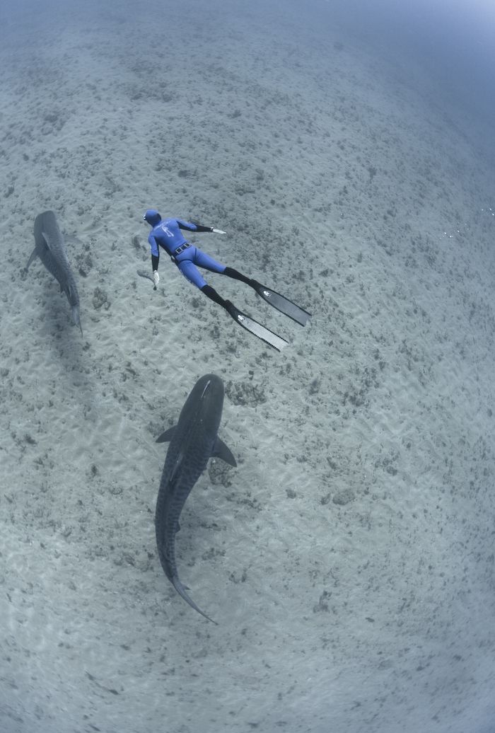 �������� ��� :: ����� � ������� :: ���������� 2