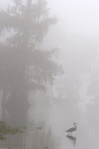 ������� :: ��������� ������� ���� 1