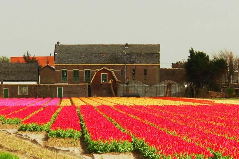 ����� �������� :: ������ �  ���������. ��������. :: ���������� 2