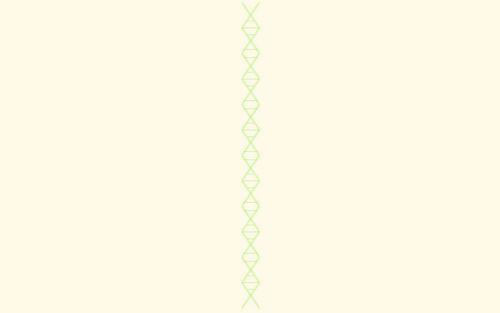 ��������� ���� ���� 52