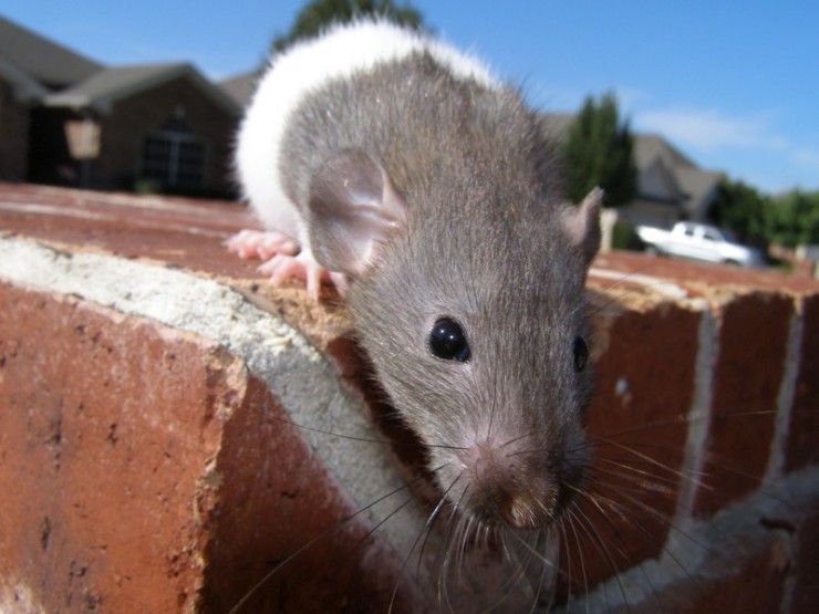 �������� ��� :: �������� ���������� :: ���������� 1