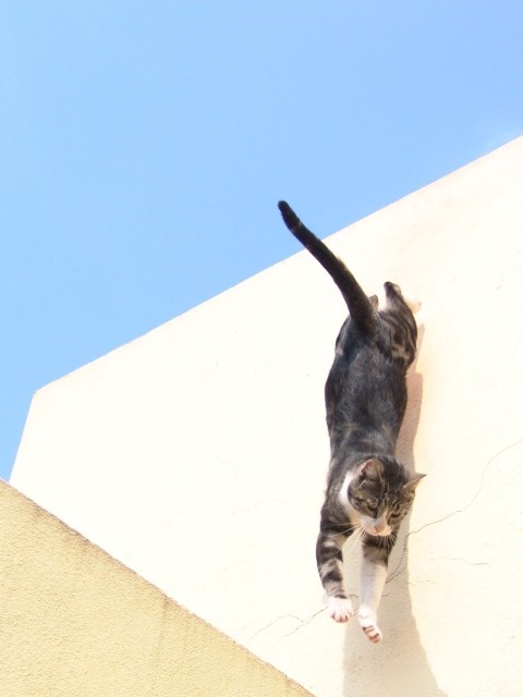 �������� ��� :: �������� �������� :: ���������� 1