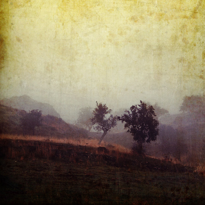 �������� Vural Yalim :: ���������� 2