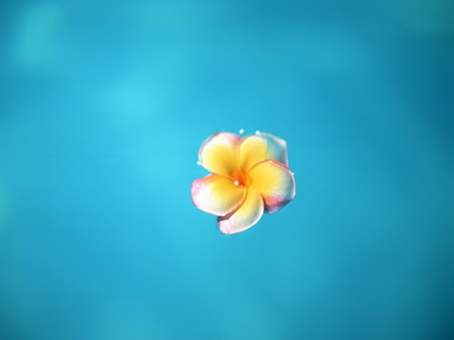 ���� �� ������� ���� :: ���� �� ������ ���� ���� 6