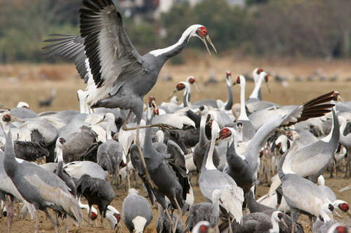 �������� ������� ���� 3