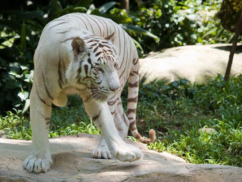 �������� ��� :: ����� ����� ���� 17