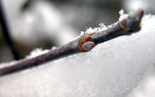 ���� �� ������� ���� :: ������ ������ ���� ���� 24
