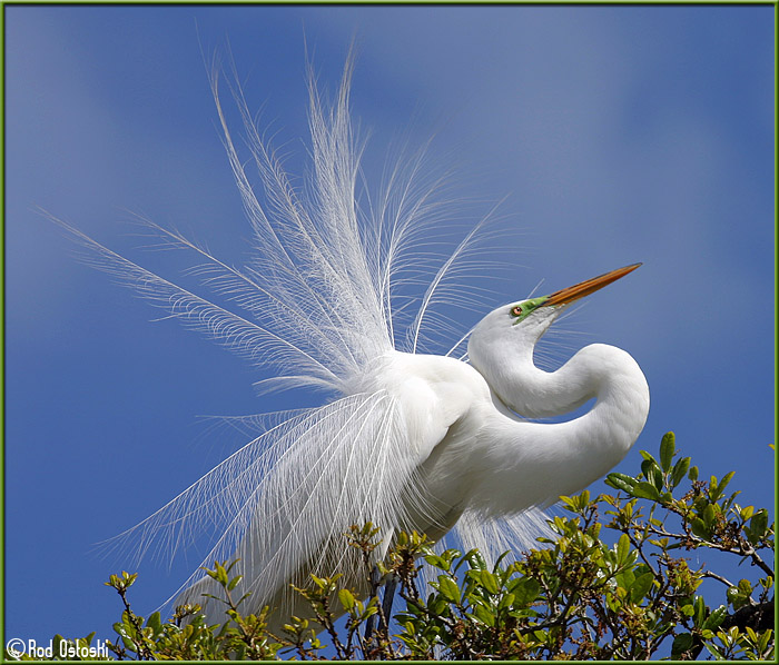 �������� ��� :: �������� :: ���������� 2
