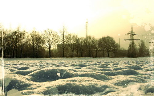 ���� 2011 ���� 10