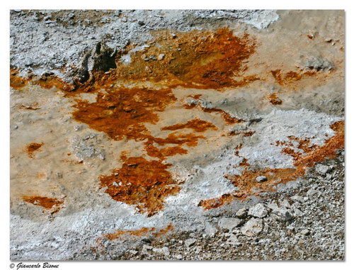 ������� :: ������������ ���� Yellowstone ���� 24
