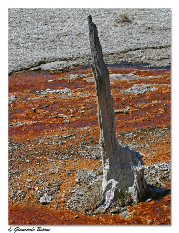 ������� :: ������������ ���� Yellowstone :: ���������� 2