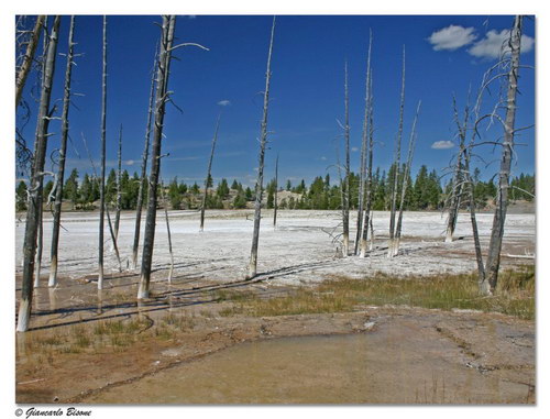 ������� :: ������������ ���� Yellowstone ���� 26