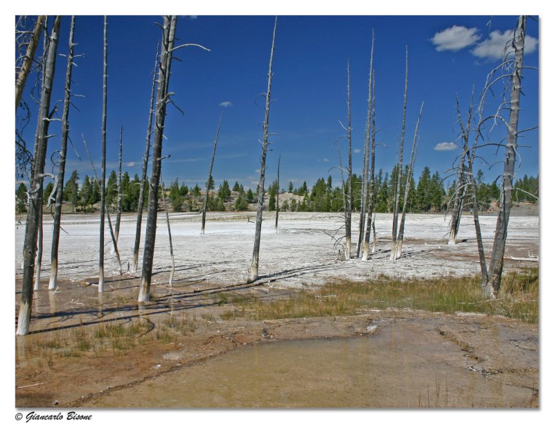 ������� :: ������������ ���� Yellowstone :: ���������� 2