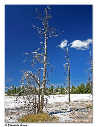 ������� :: ������������ ���� Yellowstone ���� 27