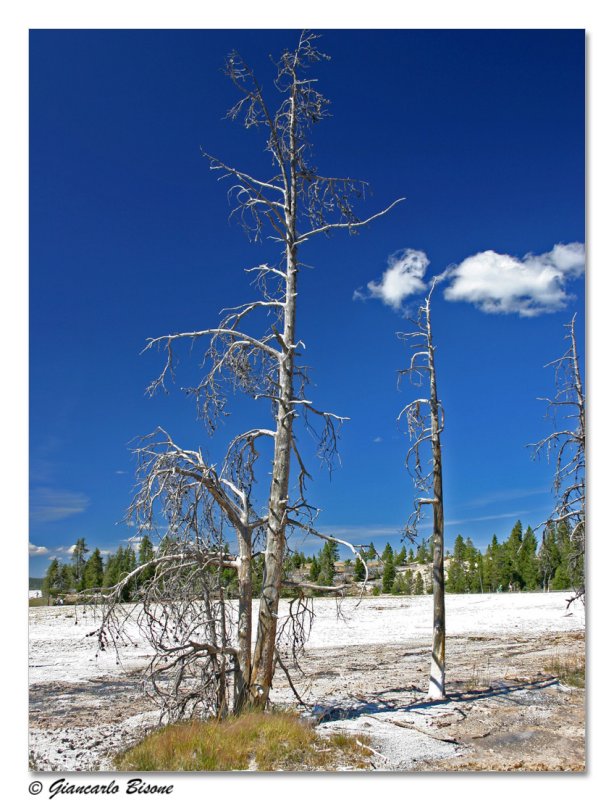 ������� :: ������������ ���� Yellowstone :: ���������� 2