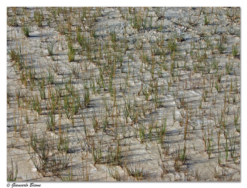 ������� :: ������������ ���� Yellowstone :: ���������� 2