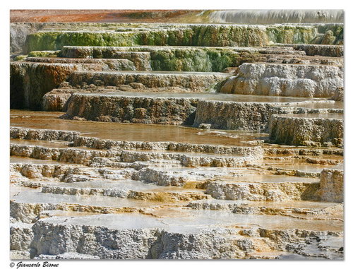 Природа :: Национальный парк Yellowstone