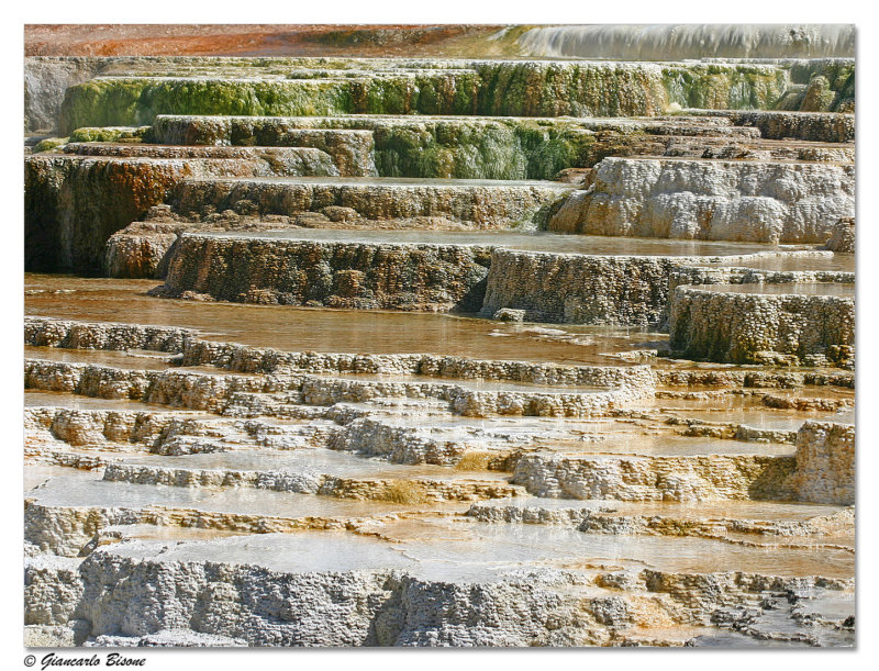 ������� :: ������������ ���� Yellowstone :: ���������� 2