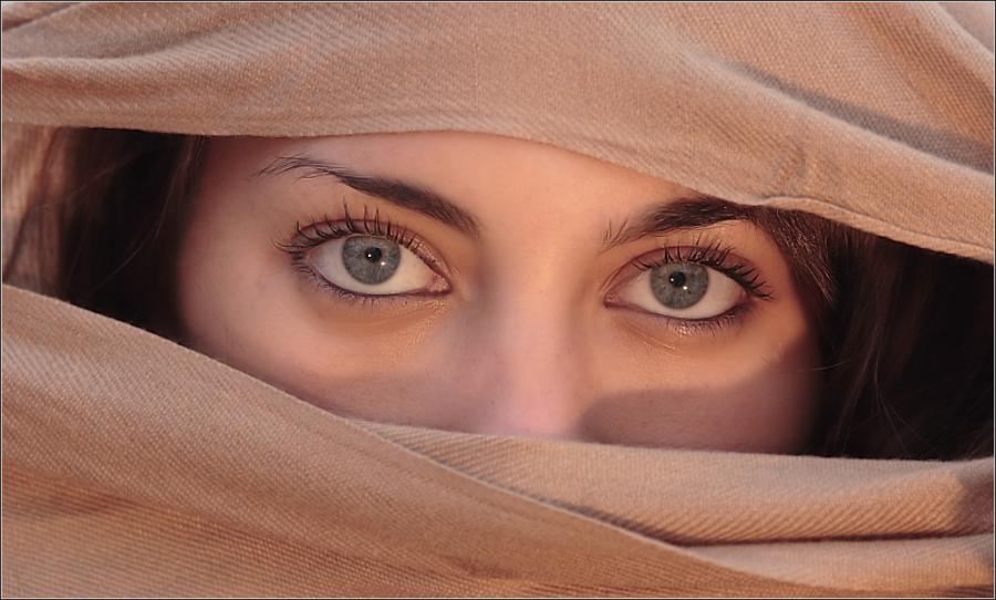 ���� :: ���� ������ :: ���������� 2