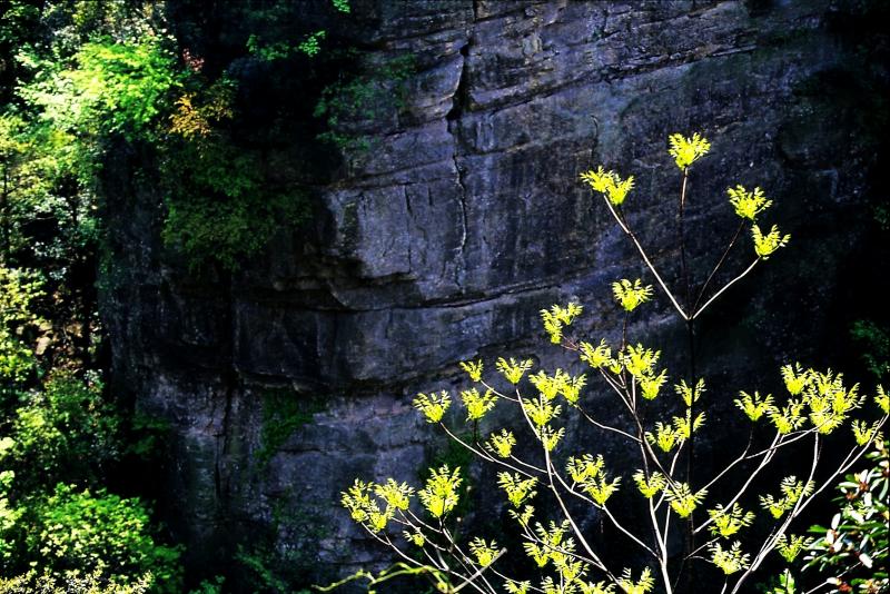 ������������ ���� ���������� (Zhangjiajie) :: ���������� 2