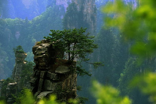 ������������ ���� ���������� (Zhangjiajie) ���� 18