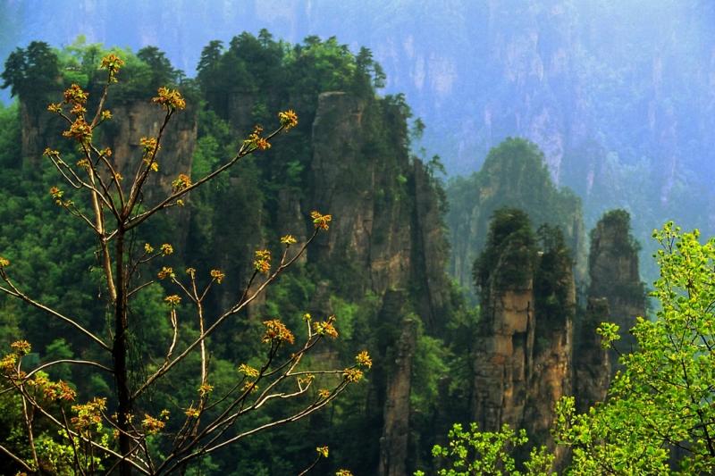 ������������ ���� ���������� (Zhangjiajie) :: ���������� 2