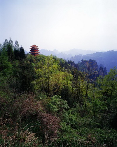������������ ���� ���������� (Zhangjiajie) ���� 33