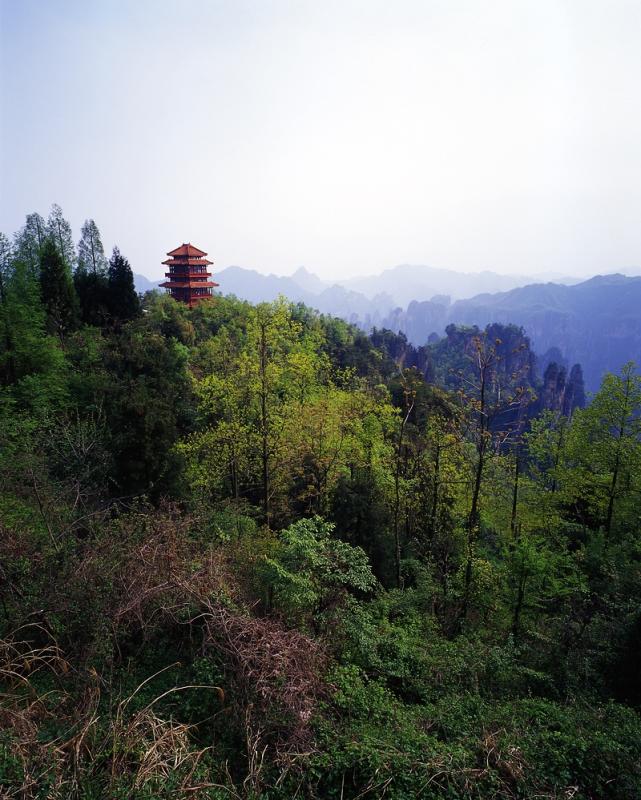 ������������ ���� ���������� (Zhangjiajie) :: ���������� 2
