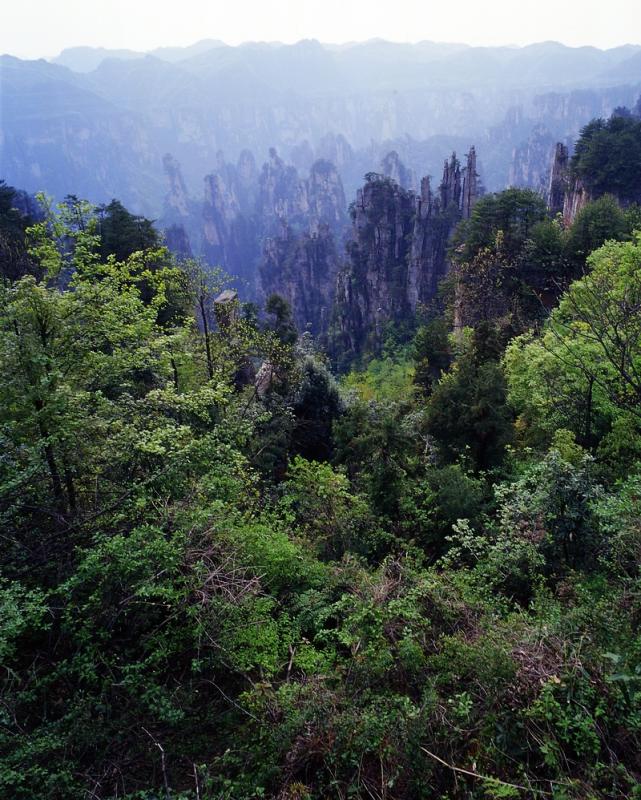 ������������ ���� ���������� (Zhangjiajie) :: ���������� 2