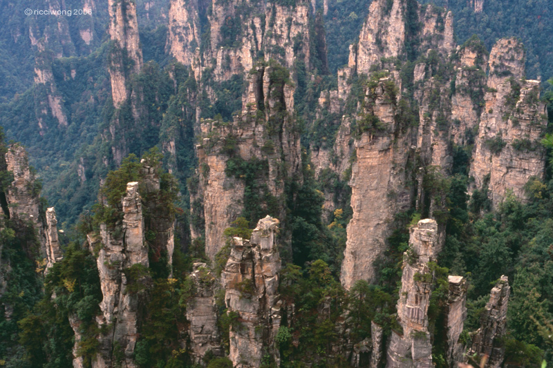 ������������ ���� ���������� (Zhangjiajie) :: ���������� 2