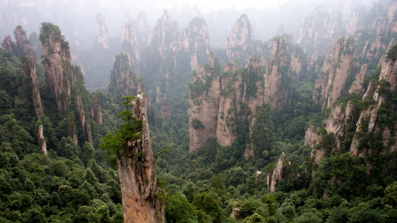 ������������ ���� ���������� (Zhangjiajie) :: ���������� 2