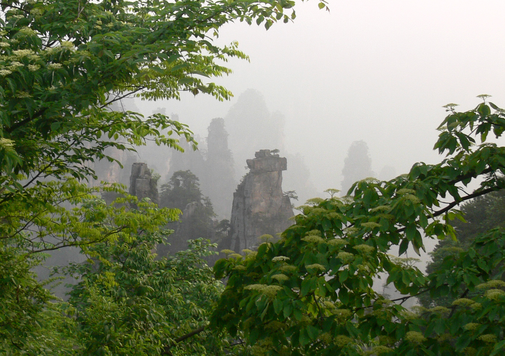 ������������ ���� ���������� (Zhangjiajie) :: ���������� 2