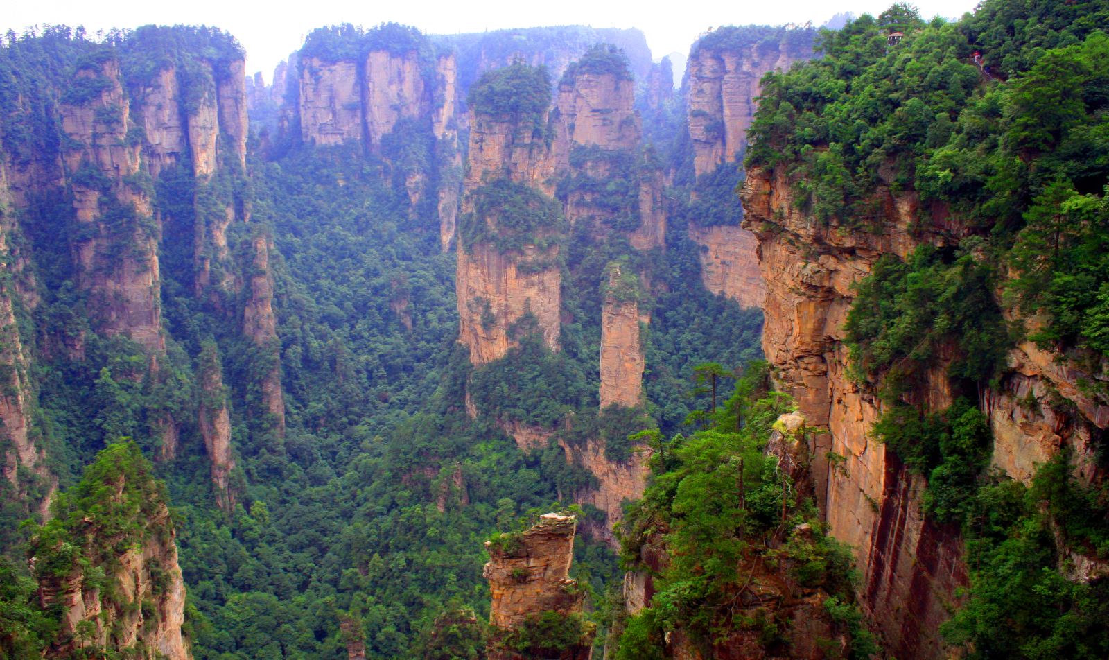 ������������ ���� ���������� (Zhangjiajie) :: ���������� 2