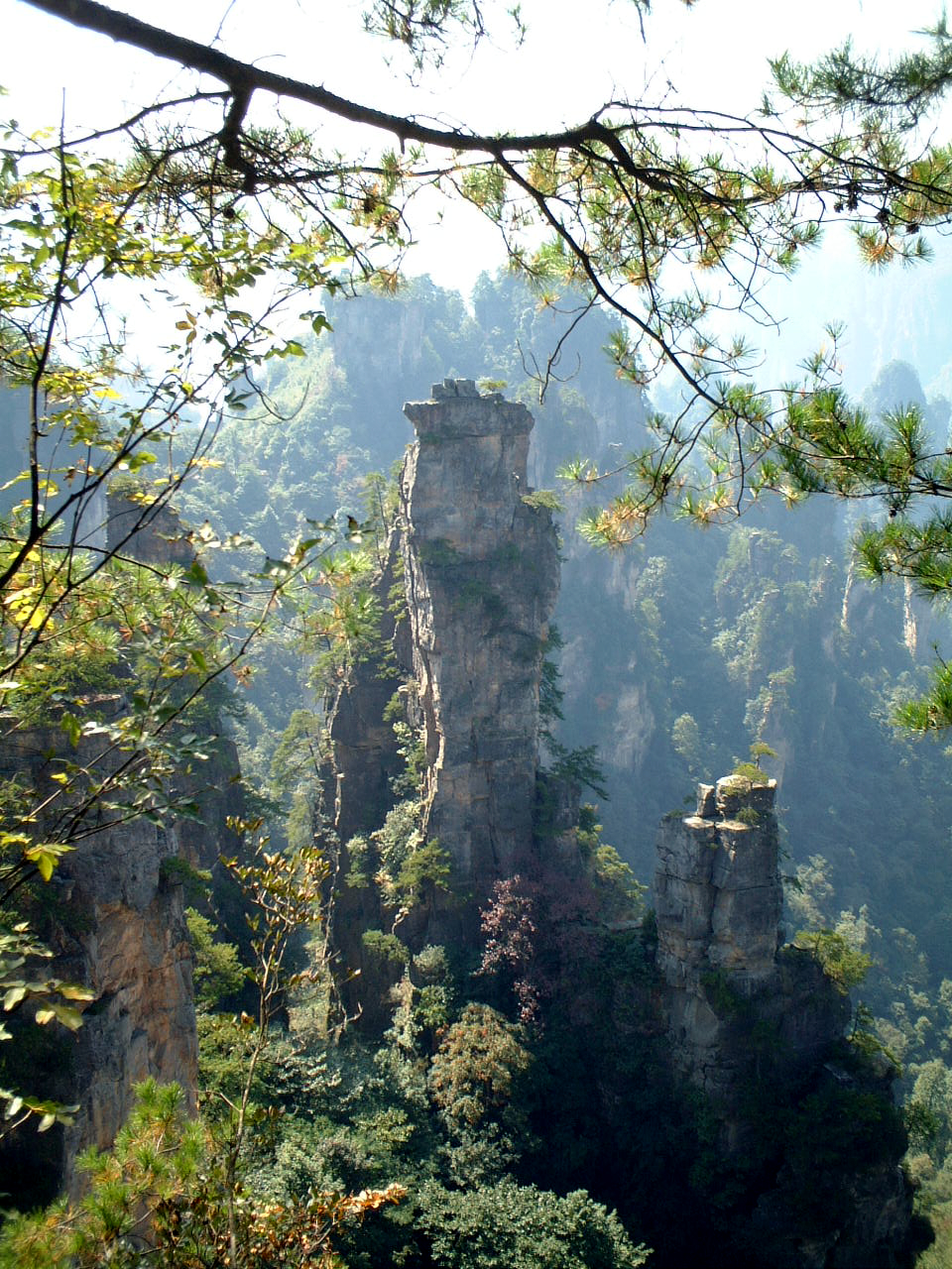 ������������ ���� ���������� (Zhangjiajie) :: ���������� 2