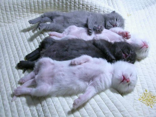 �������� ��� :: �������� �������� ���� 3