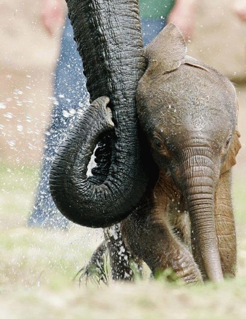 �������� ��� :: �������� �������� :: ���������� 2