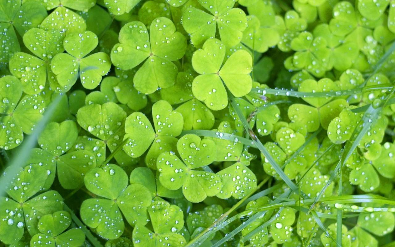 ���� ������� ������ :: ���������� 2