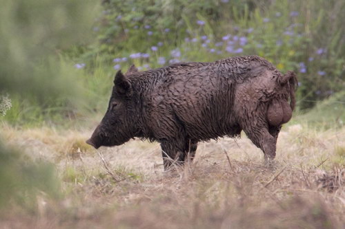 �������� ��� :: ������ ���� 75
